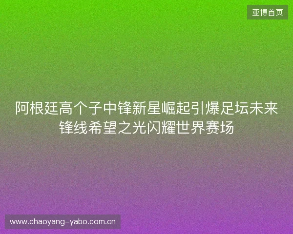 阿根廷高个子中锋新星崛起引爆足坛未来锋线希望之光闪耀世界赛场