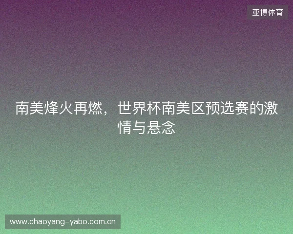 南美烽火再燃，世界杯南美区预选赛的激情与悬念